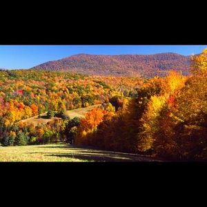 Meet your Posher, Lindsay